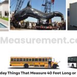13 Everyday Things That Measure 40 Feet Long or Big