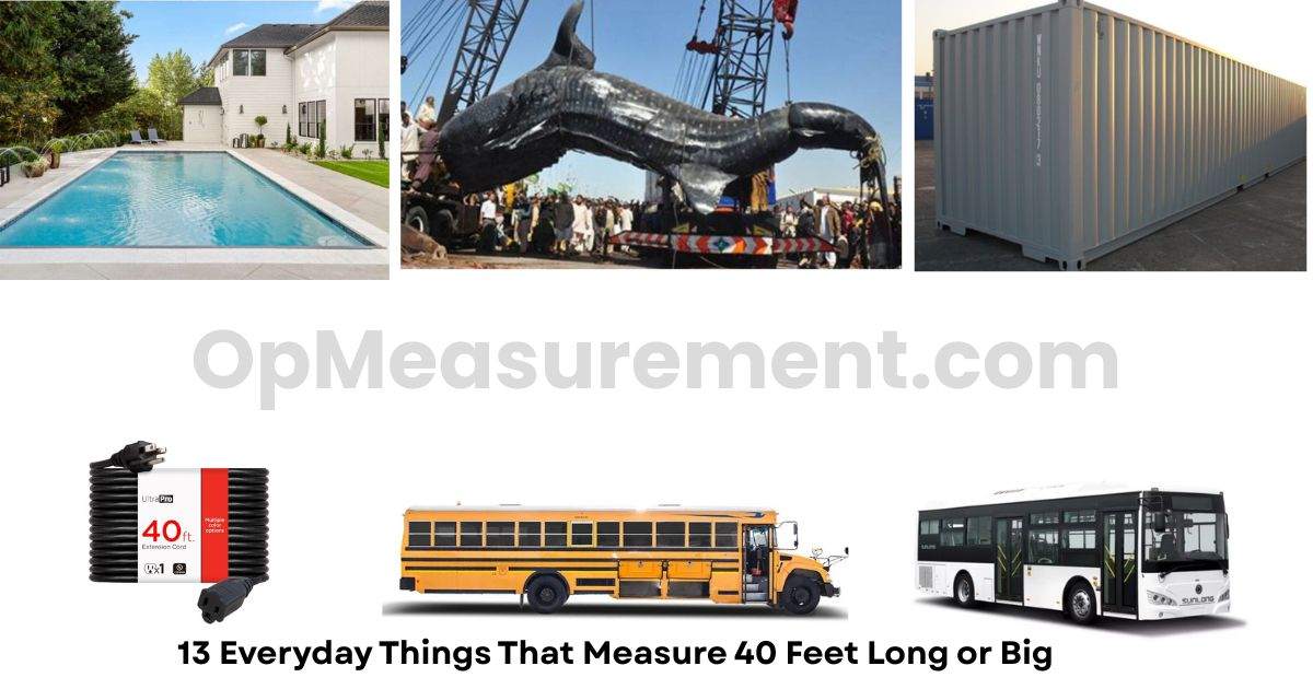 13 Everyday Things That Measure 40 Feet Long or Big