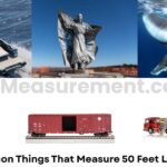 14 Common Things That Measure 50 Feet Long or Big