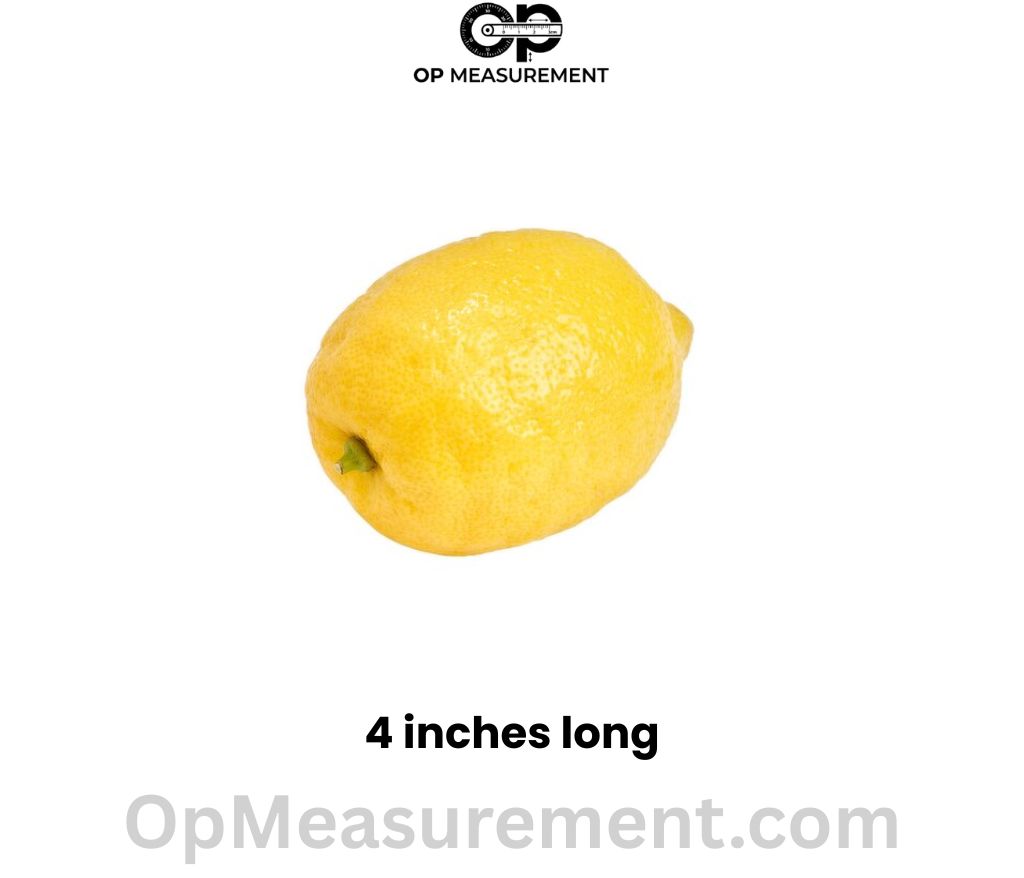 A Large Grocery Store Lemon that 4 Inches long