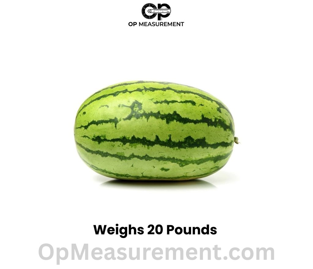 A Large Whole Watermelon weighs 20 pounds