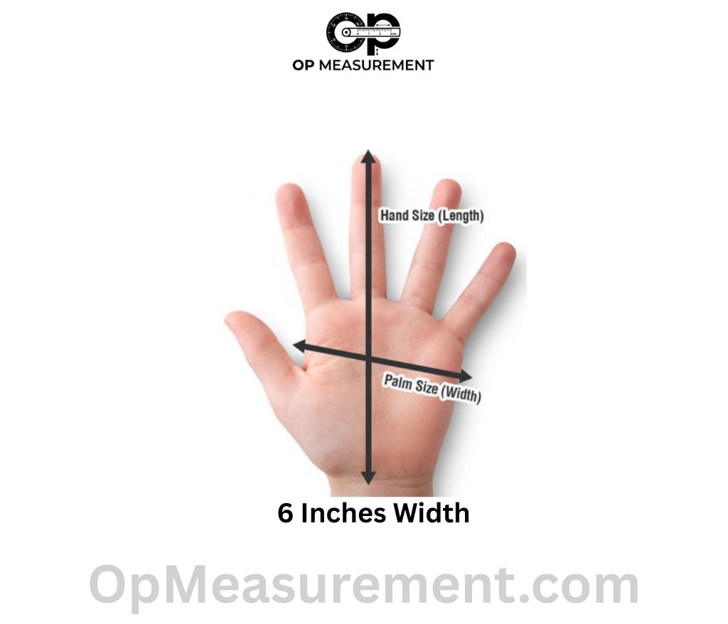 Adult Palm Width (Knuckle Span) that measure 6 Inches