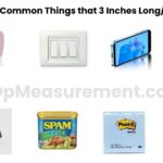 How Long Is 3 Inches — 13 Common Things that 3 Inches Long/Big
