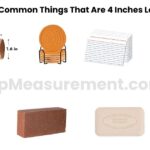 How Long Is 4 Inches? 13 Common Things That Are 4 Inches Long