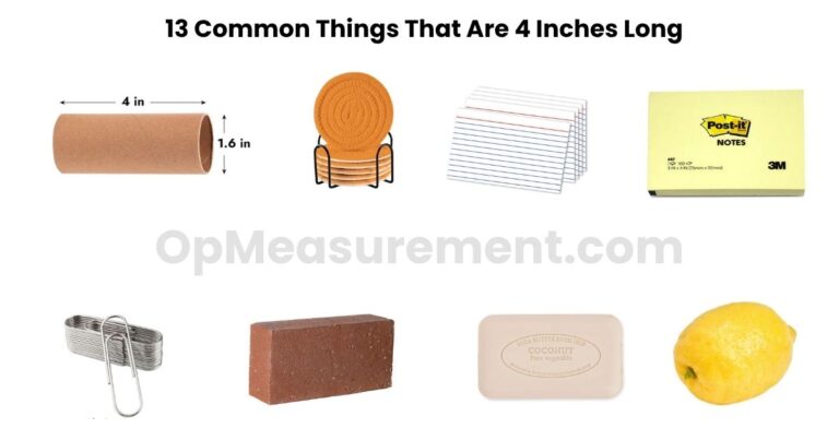 How Long Is 4 Inches? 13 Common Things That Are 4 Inches Long