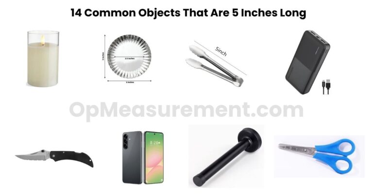 How Long Is 5 Inches? 14 Real Objects, Hand Tests, and Comparisons