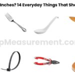 How Long Is 6 Inches? 14 Everyday Things That Show You Exactly