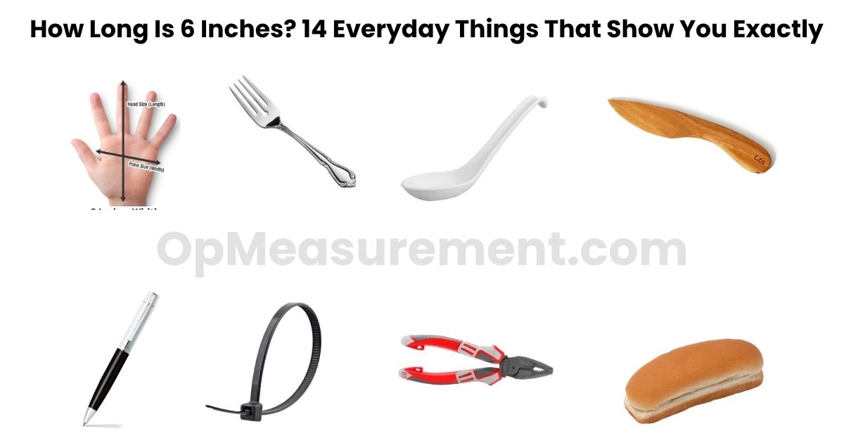 How Long Is 6 Inches? 14 Everyday Things That Show You Exactly