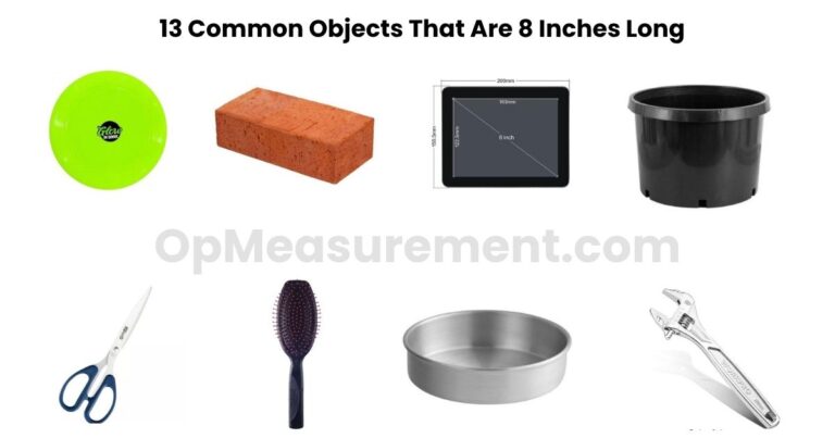 How Long Is 8 Inches? 13 Daily Things That Are Exactly 8 Inches
