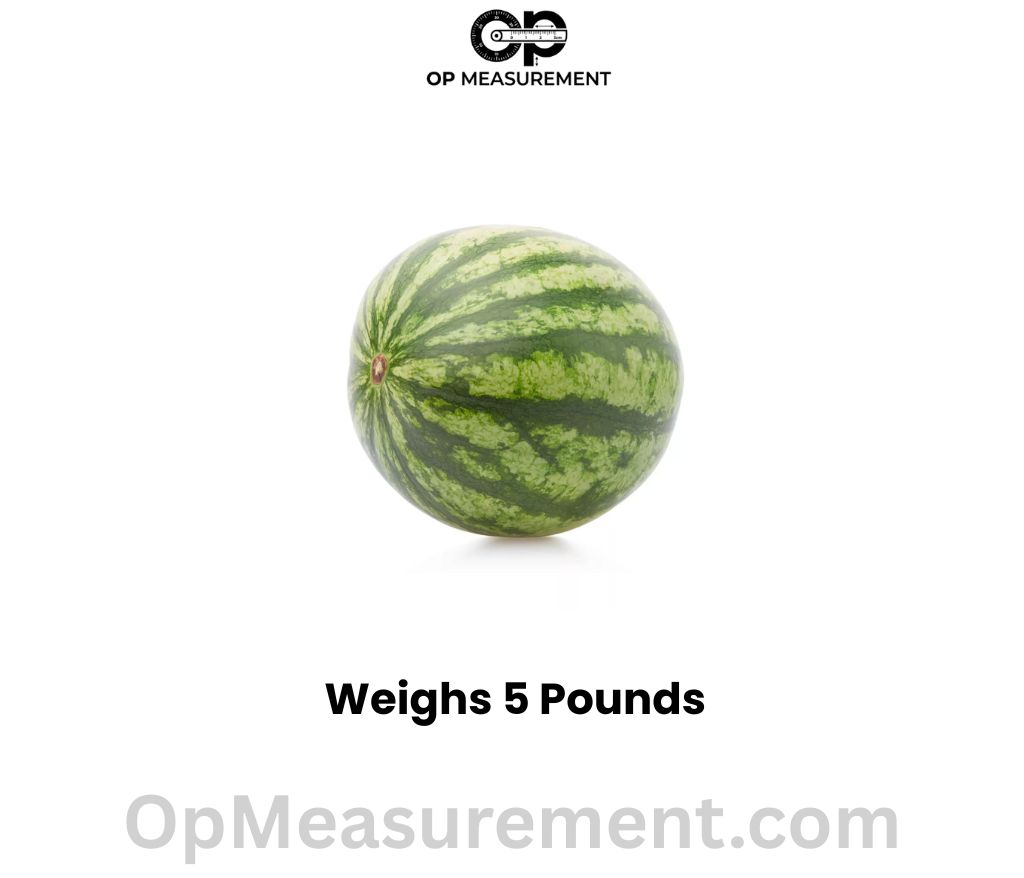 Mini Watermelon Weighs 5 Pounds