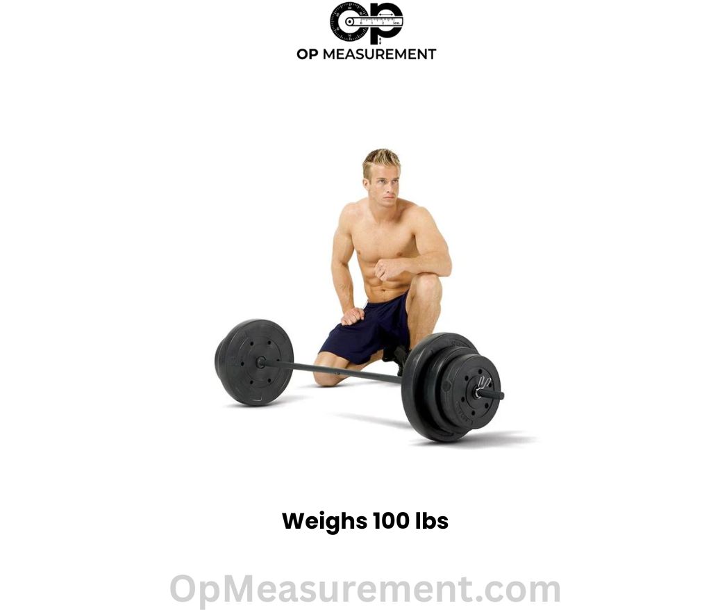 Olympic Barbell Loaded that weighs 100 lbs