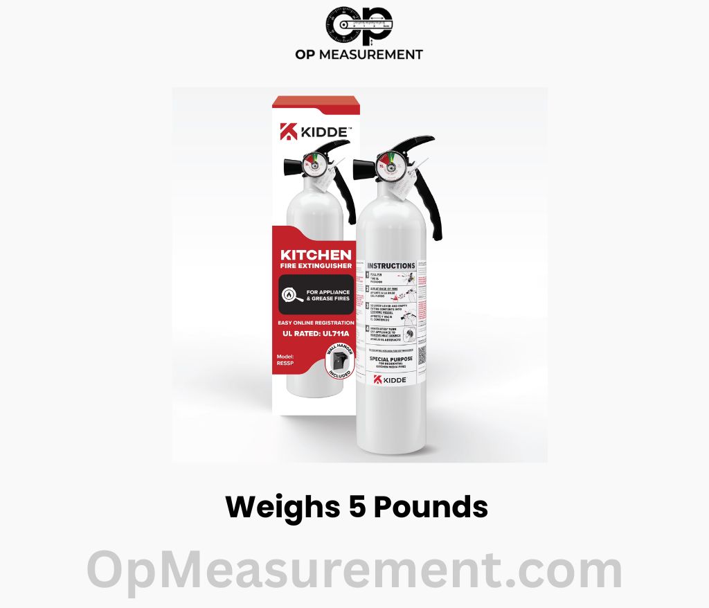 Small Kitchen Fire Extinguisher Weighs 5 Pounds