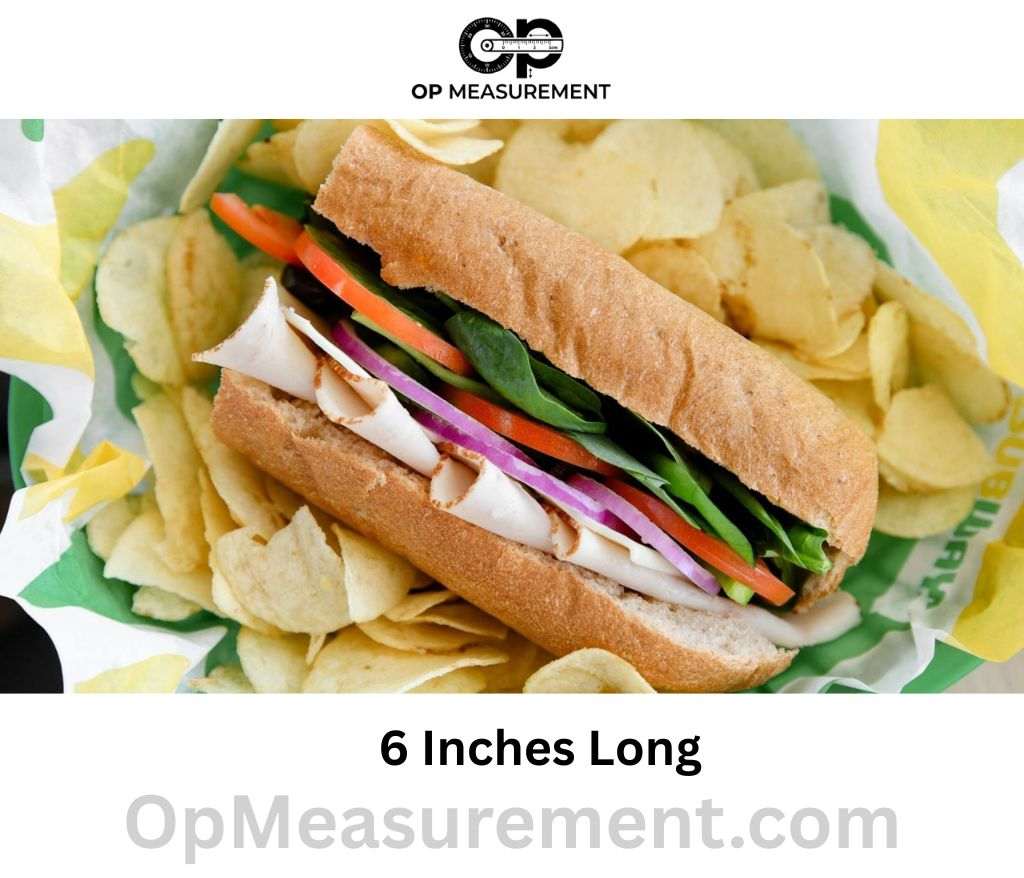 Subway 6-Inch Sub measure 6 Inches long