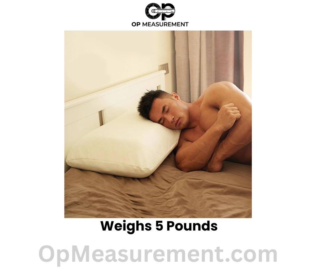 Thick Memory Foam Pillow Weighs 5 Pounds