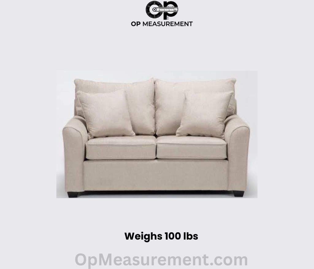 Two-Cushion Loveseat that weighs 100 lbs