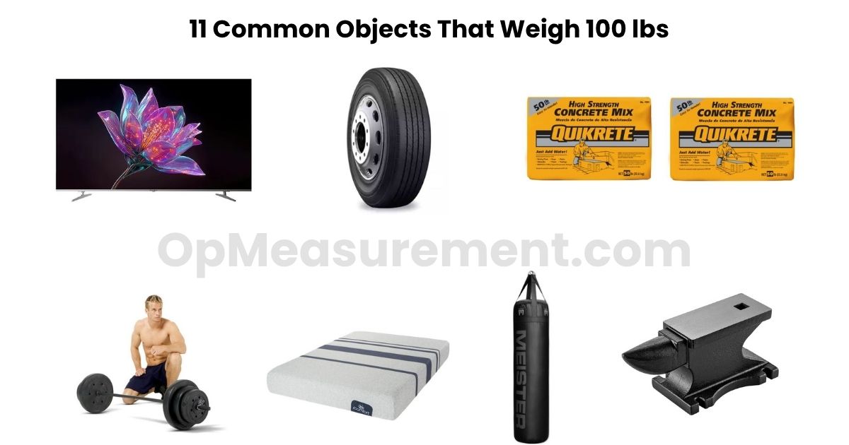 What Weighs 100 lbs? 11 Real Objects You've Already Touched