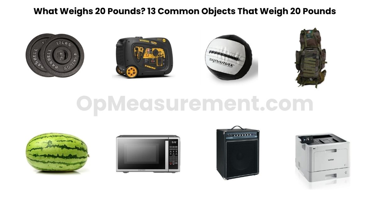 What Weighs 20 Pounds? 13 Common Objects That Weigh 20 Pounds