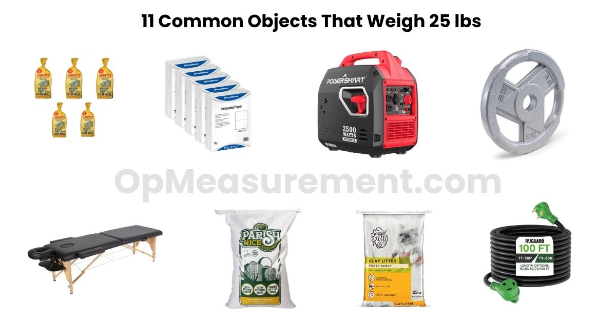 What Weighs 25 lbs? 11 Real-Life Objects That Help You Picture It