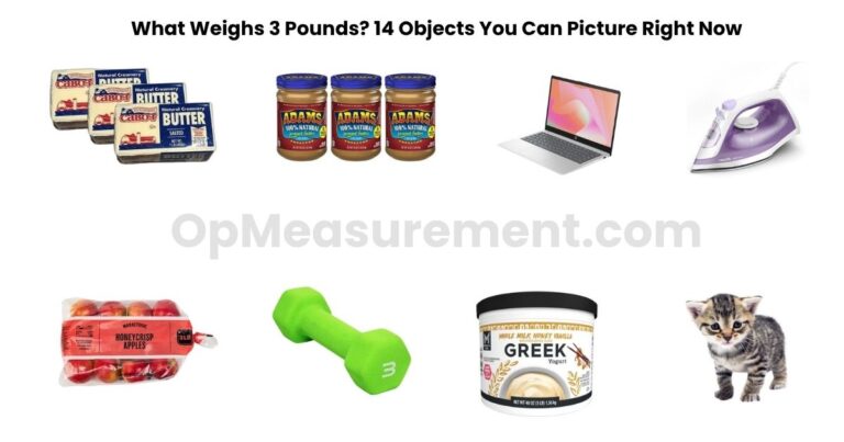 What Weighs 3 Pounds? 14 Objects You Can Picture Right Now