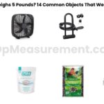 What Weighs 5 Pounds? 14 Common Objects That Weigh 5 Pound