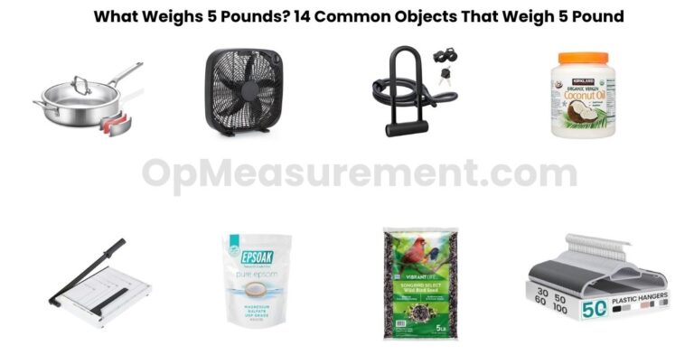 What Weighs 5 Pounds? 14 Common Objects That Weigh 5 Pound
