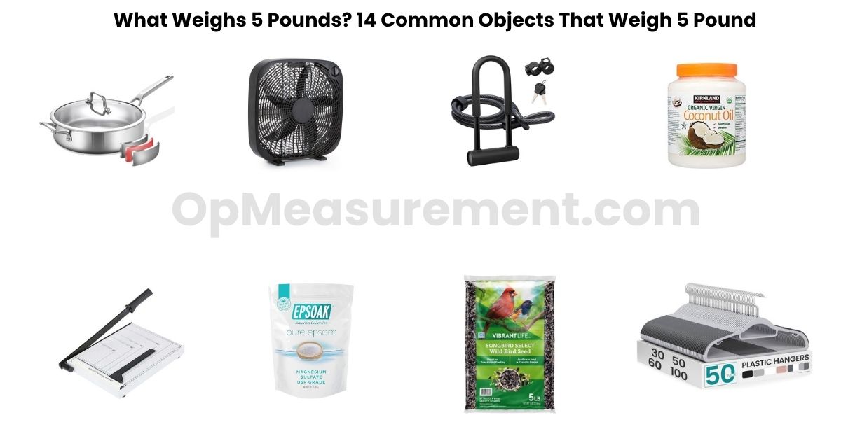 What Weighs 5 Pounds? 14 Common Objects That Weigh 5 Pound