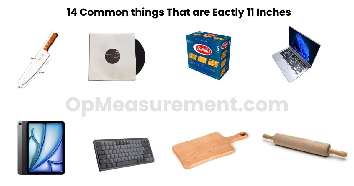11 Inches: How Big Is It, What Does It Look Like, and How to Picture It