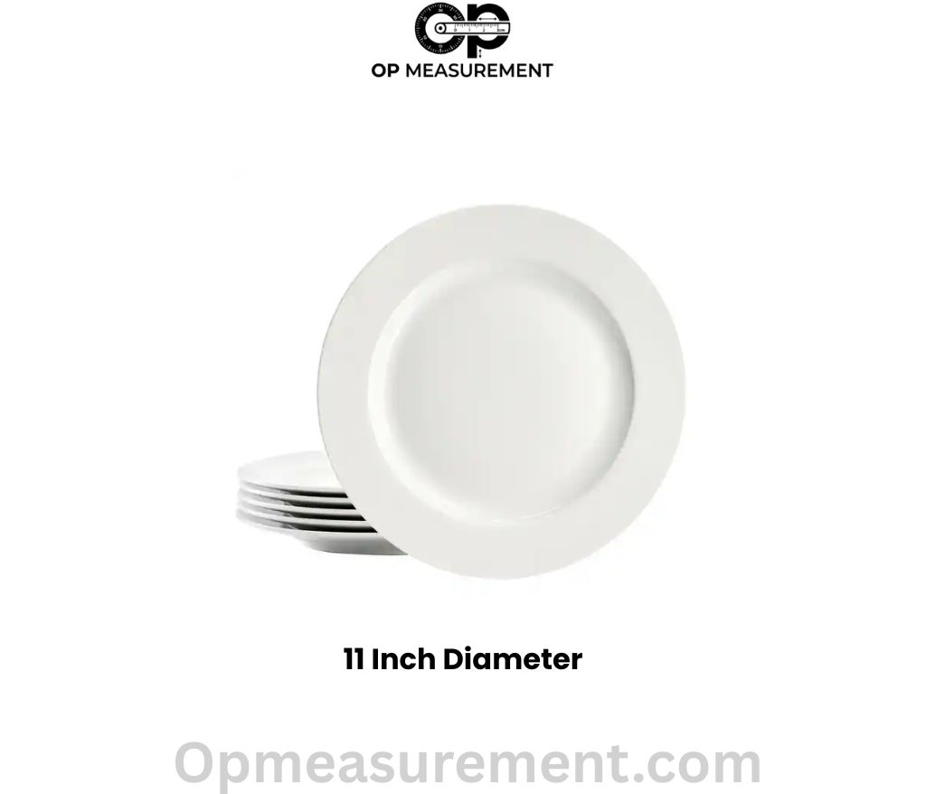 Standard Dinner Plate That Are 11 Inch diameter