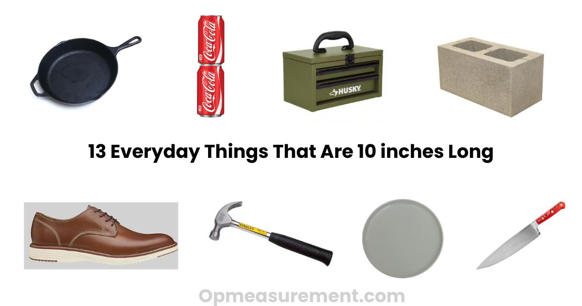How Long Is 10 Inches? Here's What That 10 inches Looks Like