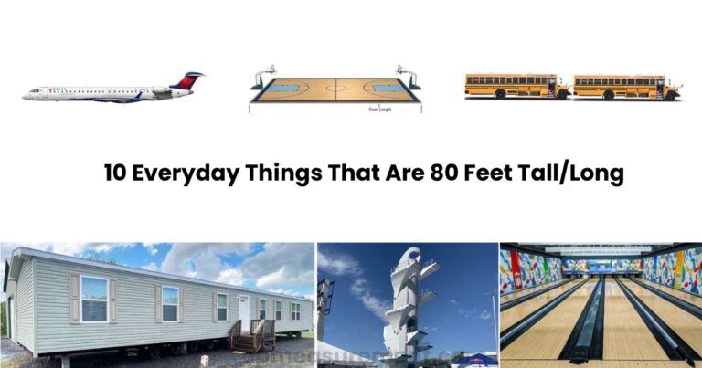 How Tall Is 80 Feet? Here's What It Actually Looks Like