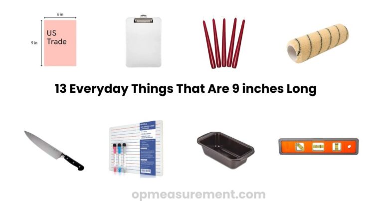 What Does 9 Inches Look Like? 13 Real-Life Examples