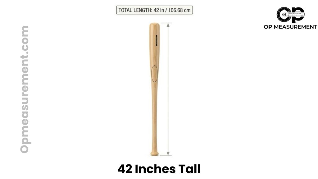 Baseball Fungo Bat or Youth Bat That Measures 42 Inches Long