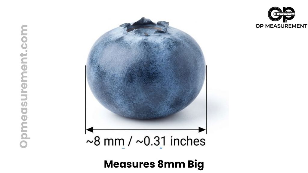Blueberry That Are About 8mm Big