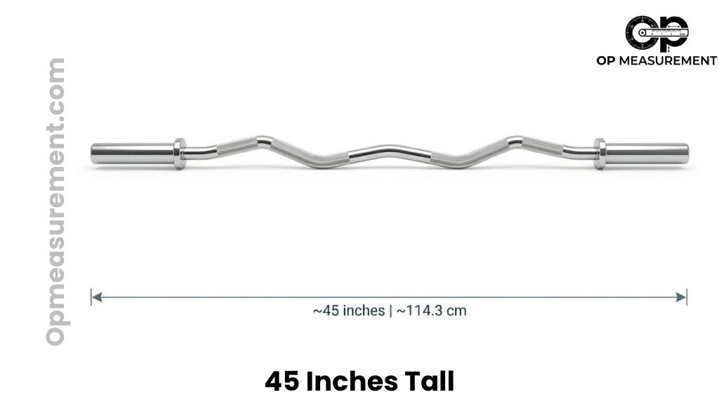 EZ-Curl Weight Bar That Measures 45 Inches Tall