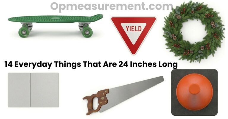 How Big is 24 inches? 14 Things That Measure 24 Inches Long