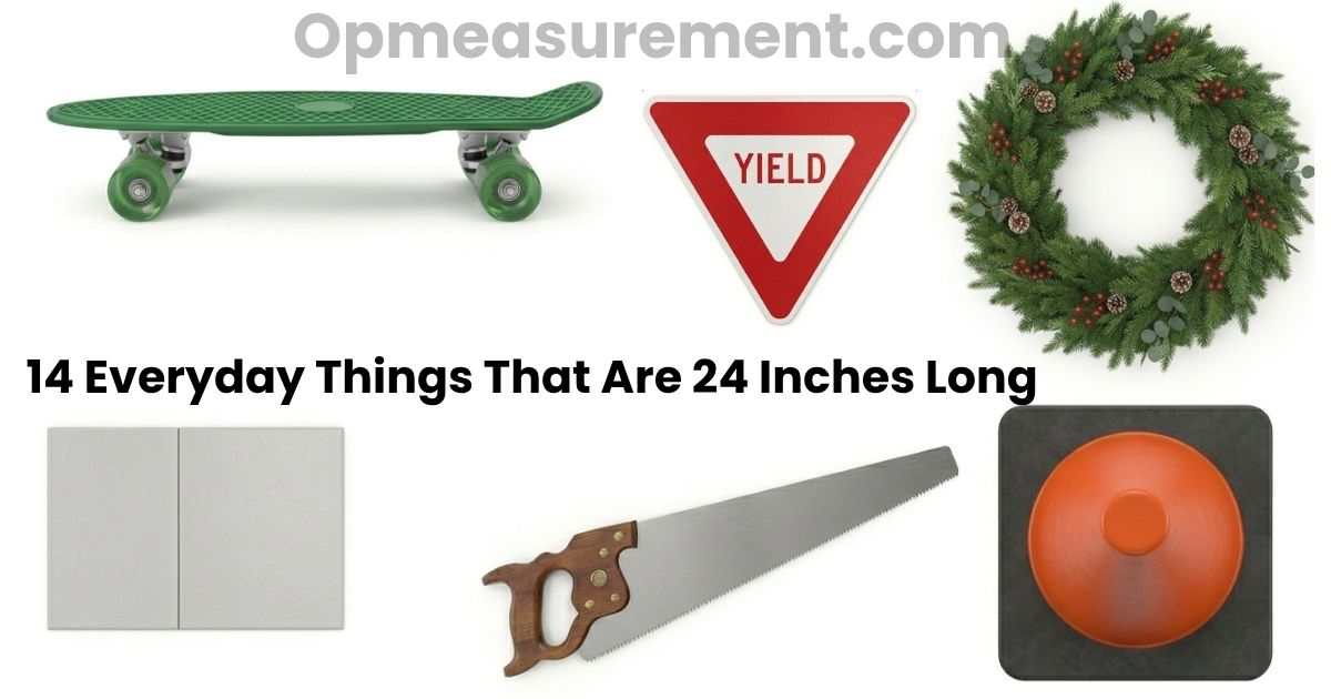 How Big is 24 inches? 14 Things That Measure 24 Inches Long