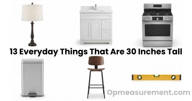 How Tall Is 30 Inches? 13 Things That Measure 30 Inches