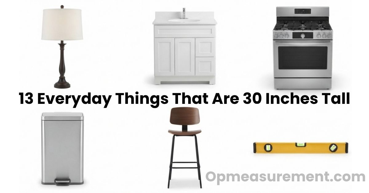 How Tall Is 30 Inches? 13 Things That Measure 30 Inches