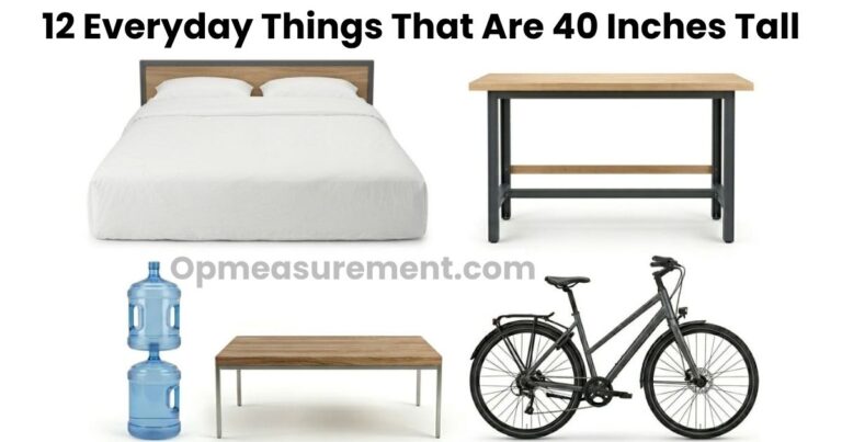 How Tall Is 40 Inches? Conversions & Size Comparisons