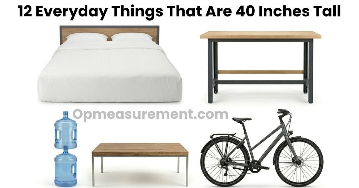 How Tall Is 40 Inches? 12 Real-World Things That Measure Up