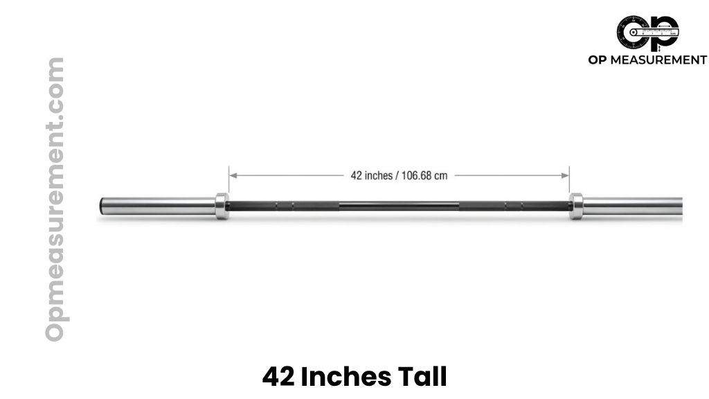 Olympic Barbell Inner Shaft That Measures 42 Inches Tall